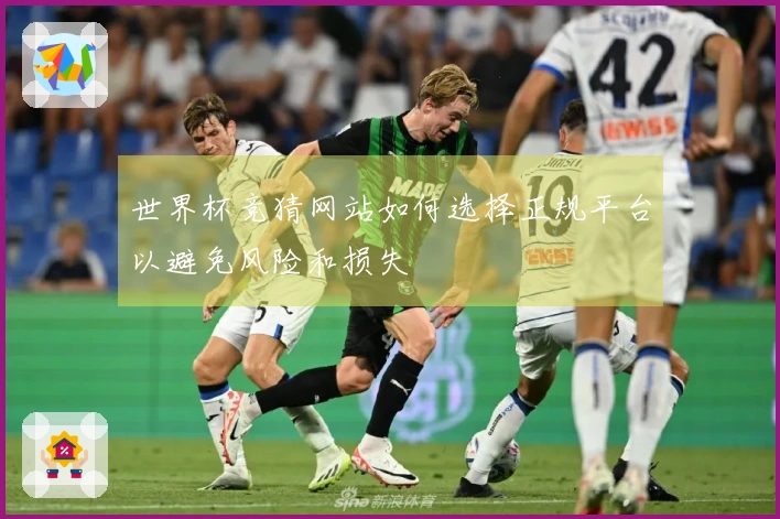 世界杯竞猜网站如何选择正规平台以避免风险和损失